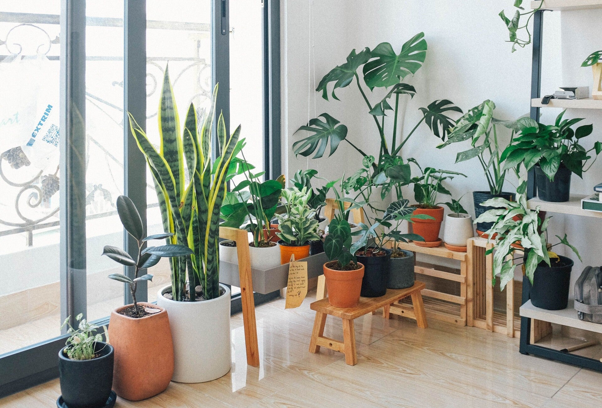 Bring Life into Your Home with Beautiful Greenery